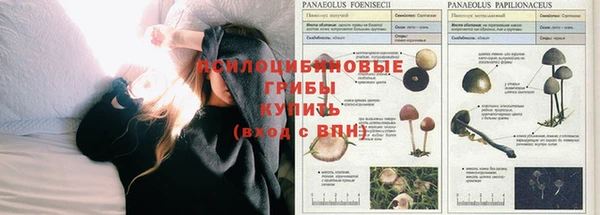 мескалин Вязьма