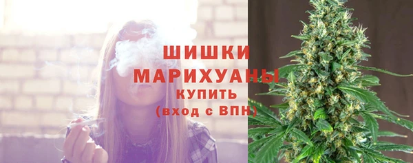 не бодяженный Горнозаводск