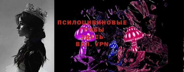ECSTASY Вяземский