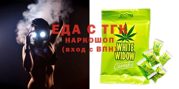 индика Вязники