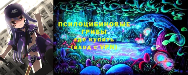 индика Вязники