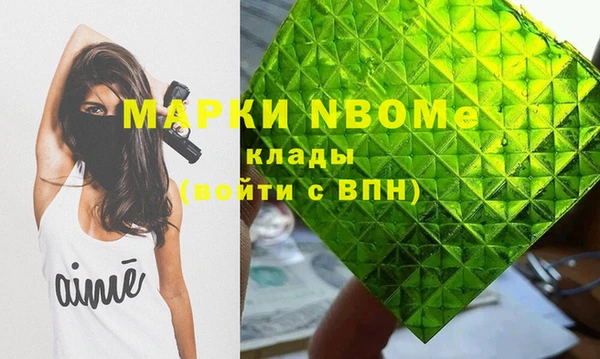 индика Вязники