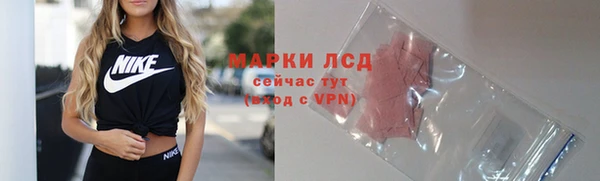индика Вязники