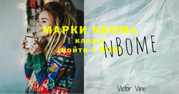 индика Вязники
