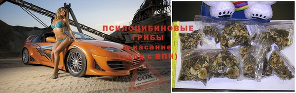 индика Вязники