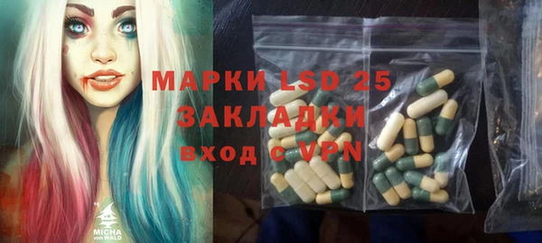 индика Вязники